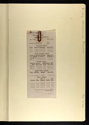 p. 41