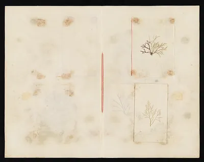 p. 20