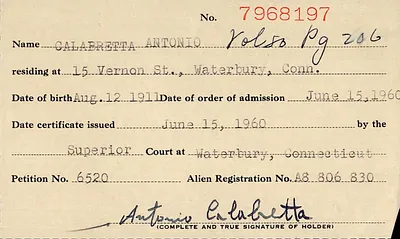 p. 19