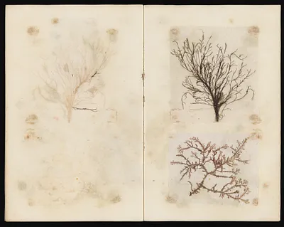 p. 34
