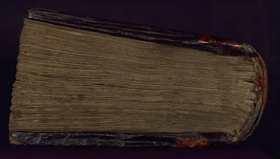 p. 6