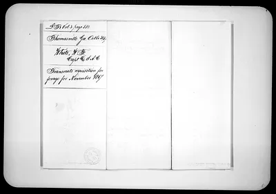 p. 31