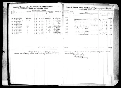 p. 31