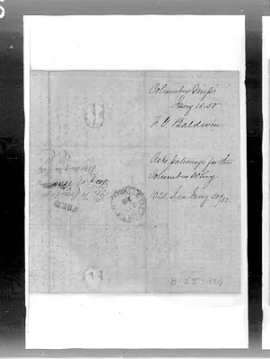 p. 41