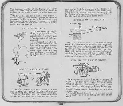 p. 21