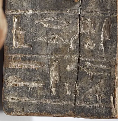 p. 7