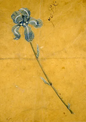 Sketch for the Tiffany Iris Corsage Ornament