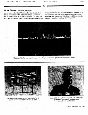 p. 51