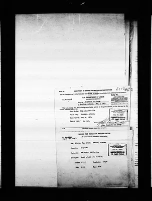 p. 51