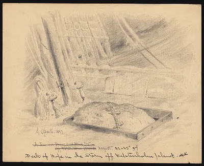 p. 17