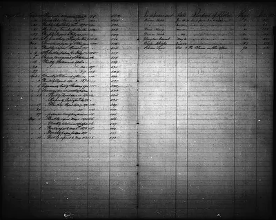 p. 7
