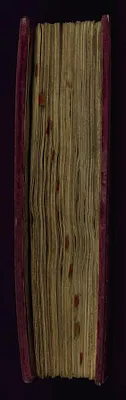 p. 5