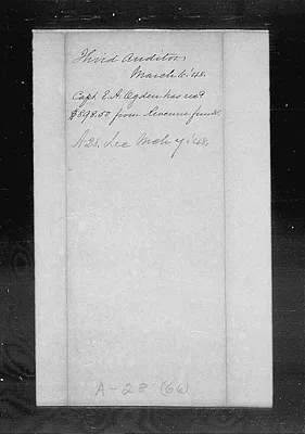 p. 20