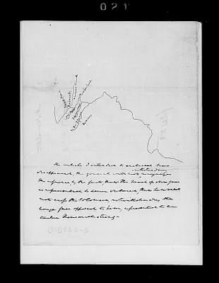 p. 24