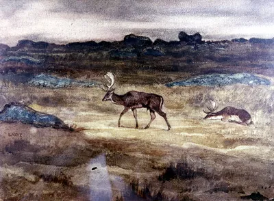 p. 2