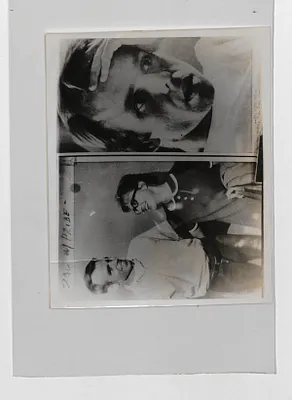 p. 6