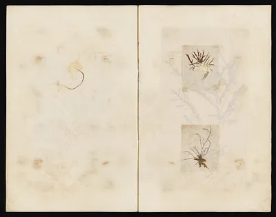 p. 30