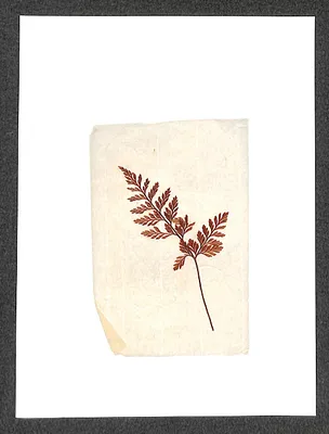 p. 17