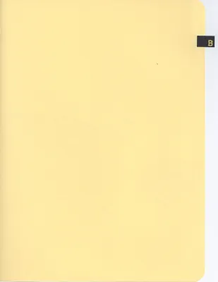 p. 43
