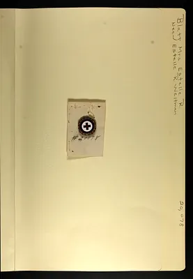 p. 3