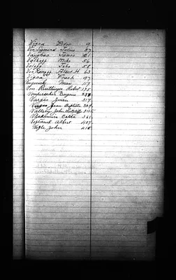 p. 31