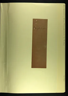 p. 32