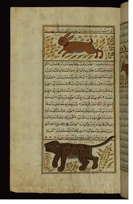 A Rabbit and a Tiger