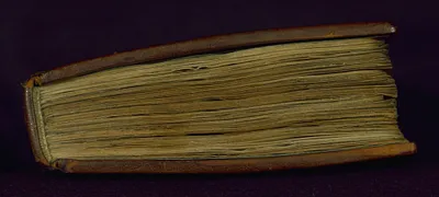 p. 8
