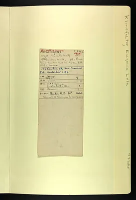 p. 60