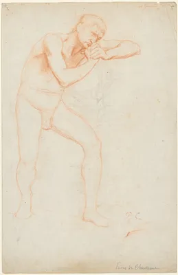 Male Nude