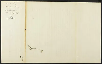 p. 43