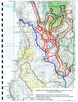 p. 43