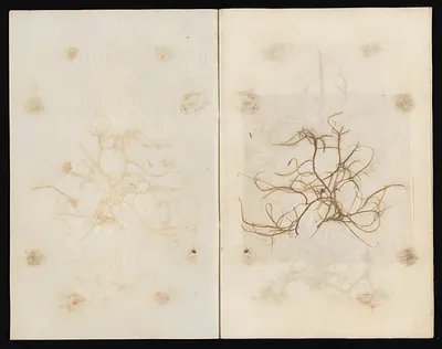 p. 27