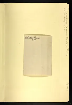 p. 49