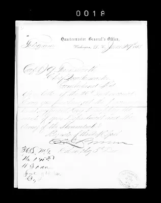 p. 29