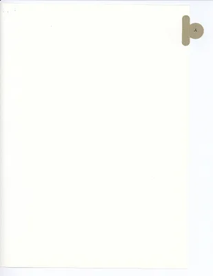 p. 21