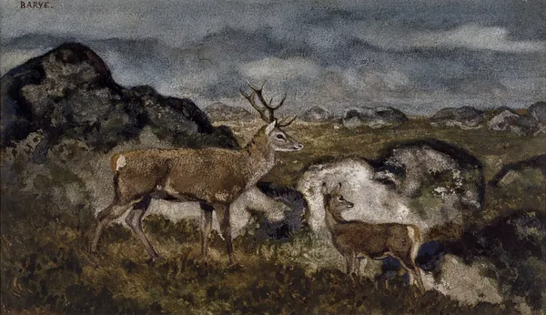 Stag and Doe