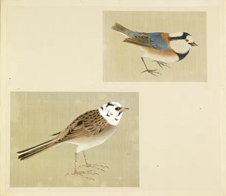 Leaf from Album Depicting Small Birds
