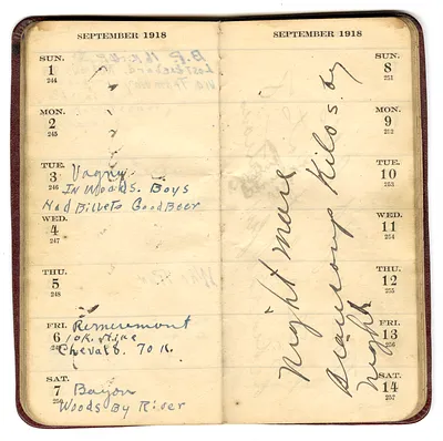 p. 43