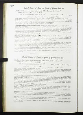 Page 238