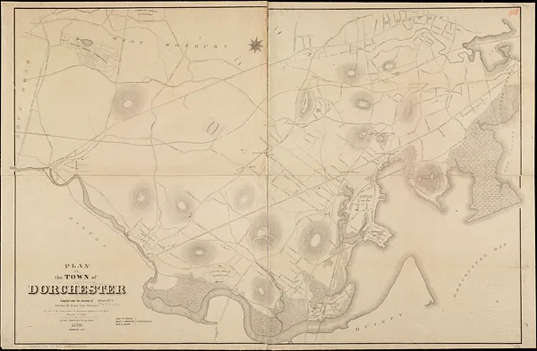 Plan of the town of Dorchester