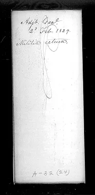 p. 21