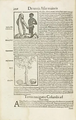 p. 7