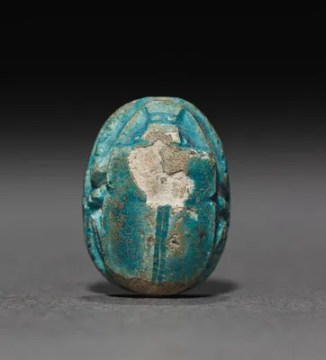 Scarab