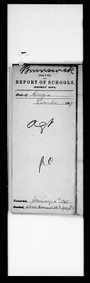 p. 8