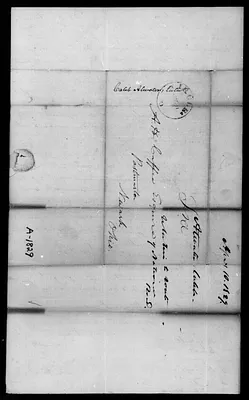 p. 41