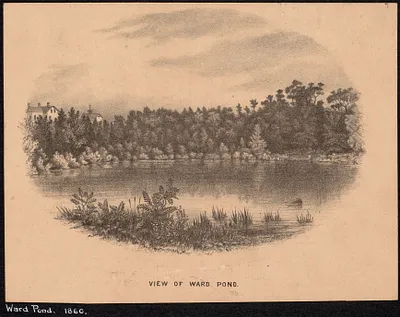 Ward Pond