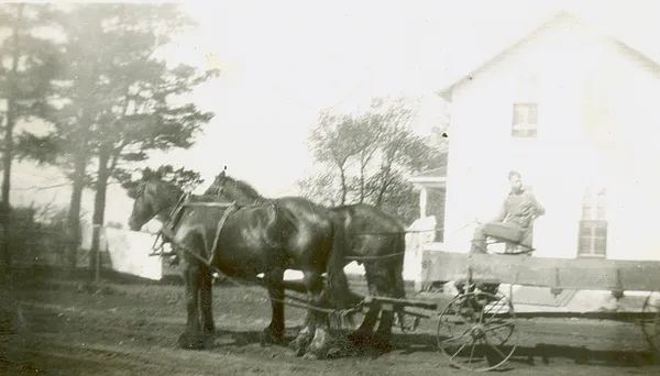Luther Attleson on a buckboard, 1941
