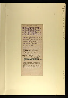 p. 7