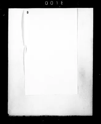 p. 29